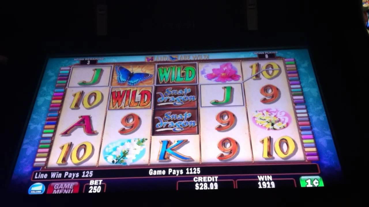 EURO 540 Kejohanan Slot Freeroll Harian di Kasino Luck